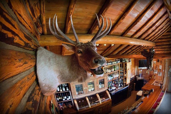 Elk Mount at Double Arrow Ranch, Seely, Montana.