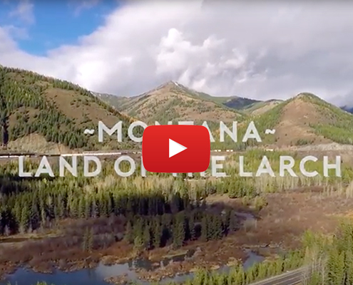 Montana Land of The Larch Aerial Video